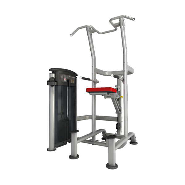 Impulse อุปกรณ์ฝึกกล้ามเนื้อส่วนหลัง Weight Assisted Chin / Dip Combo IT9520