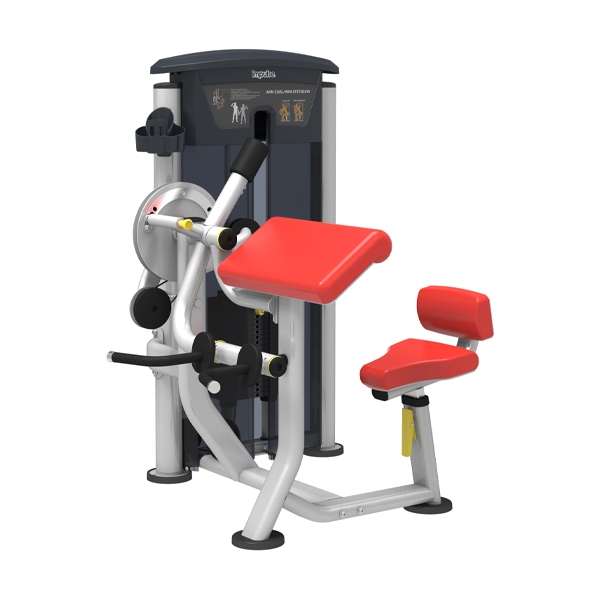 Impulse อุปกรณ์ฝึกกล้ามเนื้อต้นแขนด้านหน้าและต้นแขนด้านหลัง Bicep Curl / Tricep Extension IT9533